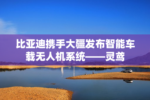 比亚迪携手大疆发布智能车载无人机系统——灵鸢