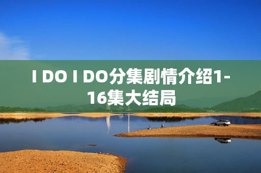 I DO I DO分集剧情介绍1-16集大结局