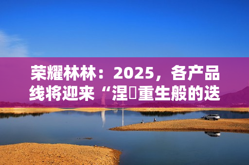 荣耀林林：2025，各产品线将迎来“涅槃重生般的迭代”