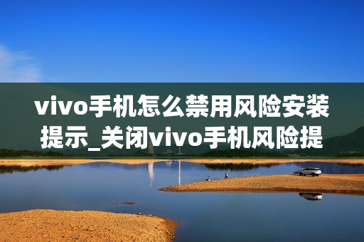 vivo手机怎么禁用风险安装提示_关闭vivo手机风险提示安装方法