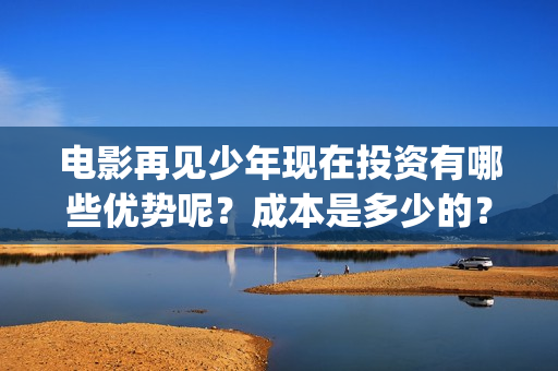电影再见少年现在投资有哪些优势呢？成本是多少的？份额是真实的吗？(再见少年演的啥)