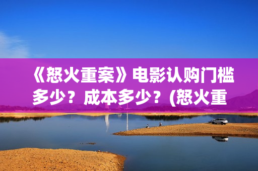《怒火重案》电影认购门槛多少？成本多少？(怒火重案 完整版)