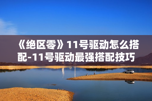《绝区零》11号驱动怎么搭配-11号驱动最强搭配技巧介绍