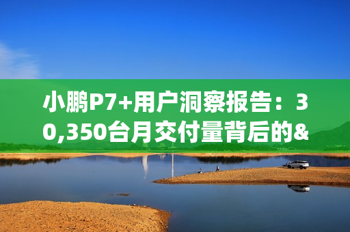 小鹏P7+用户洞察报告：30,350台月交付量背后的"油智同价"革命