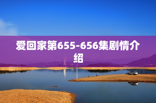 爱回家第655-656集剧情介绍