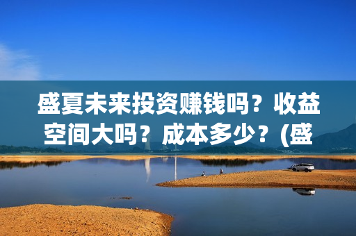 盛夏未来投资赚钱吗？收益空间大吗？成本多少？(盛夏未来投资赚了多少钱)