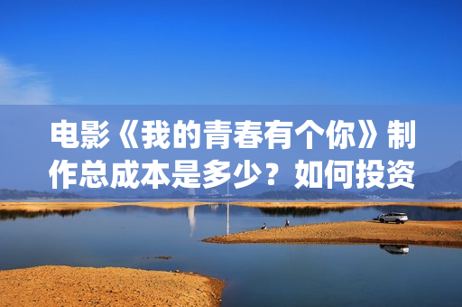 电影《我的青春有个你》制作总成本是多少？如何投资一份呢？投资电影靠谱吗？(电影《我的青春》阿伟)