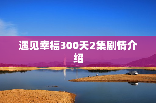遇见幸福300天2集剧情介绍