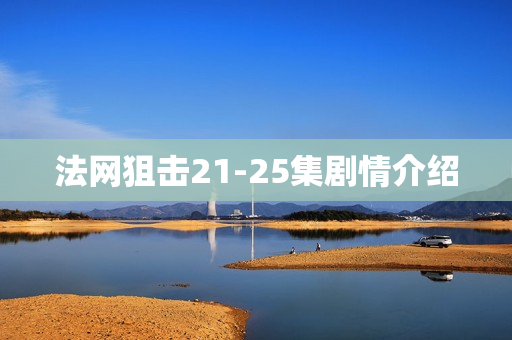 法网狙击21-25集剧情介绍