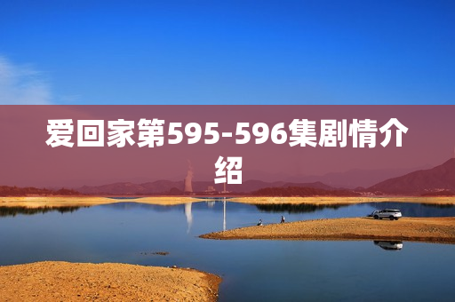 爱回家第595-596集剧情介绍