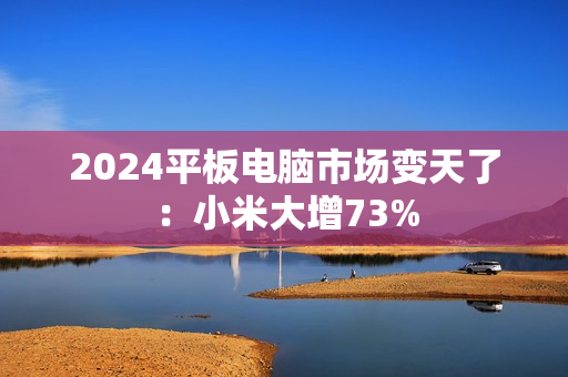 2024平板电脑市场变天了：小米大增73%