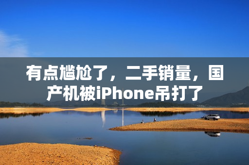 有点尴尬了，二手销量，国产机被iPhone吊打了