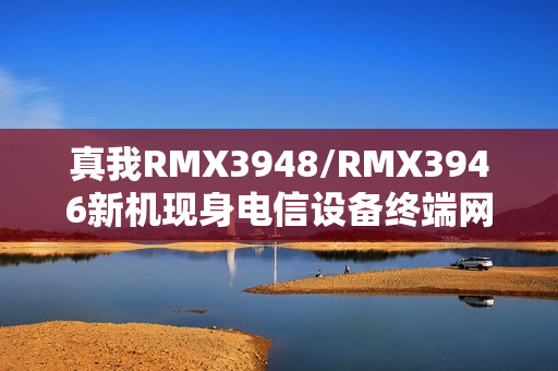 真我RMX3948/RMX3946新机现身电信设备终端网：4880mAh电池、屏幕分辨率720×1604