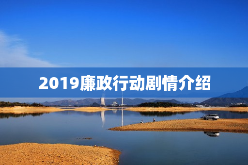 2019廉政行动剧情介绍
