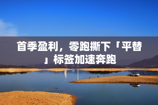 首季盈利，零跑撕下「平替」标签加速奔跑