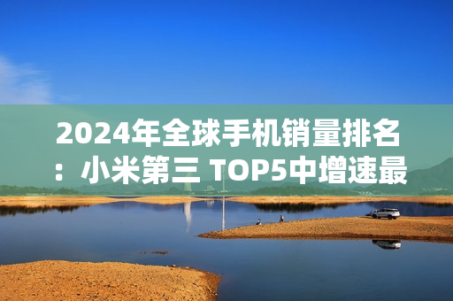 2024年全球手机销量排名：小米第三 TOP5中增速最快