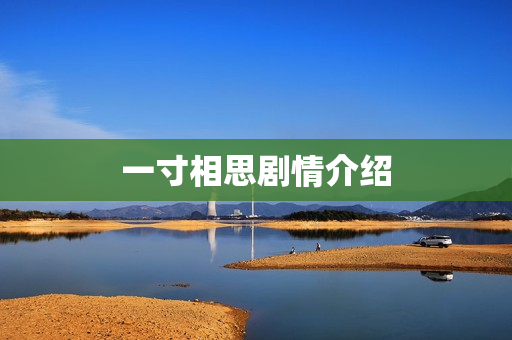 一寸相思剧情介绍