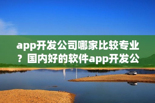 app开发公司哪家比较专业？国内好的软件app开发公司有哪些