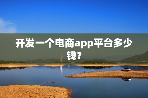 开发一个电商app平台多少钱？