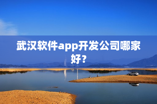 武汉软件app开发公司哪家好？