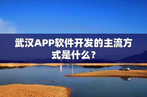 武汉APP软件开发的主流方式是什么？
