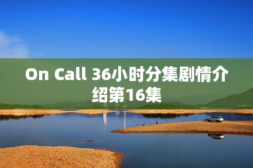 On Call 36小时分集剧情介绍第16集