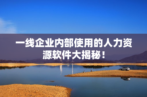 一线企业内部使用的人力资源软件大揭秘！