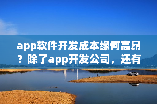 app软件开发成本缘何高昂？除了app开发公司，还有没有其他app开发方式？