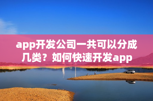 app开发公司一共可以分成几类？如何快速开发app