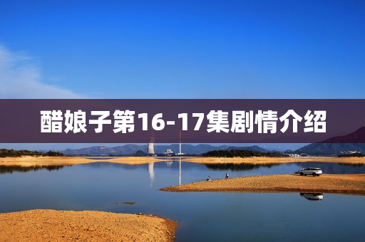 醋娘子第16-17集剧情介绍