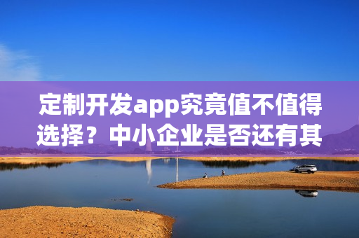 定制开发app究竟值不值得选择?中小企业是否还有其他选择? 定制开发app究竟值不值得选择?中小企业是否还有其他选择?