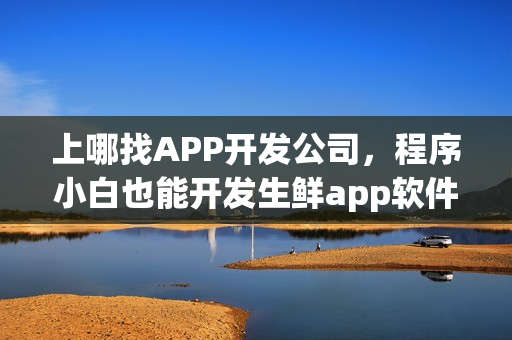 上哪找APP开发公司，程序小白也能开发生鲜app软件
