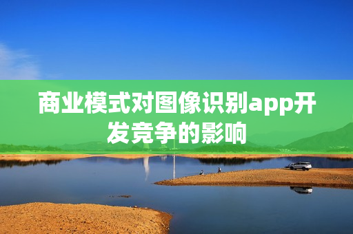 商业模式对图像识别app开发竞争的影响