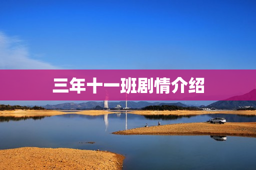 三年十一班剧情介绍 三年十一班剧情介绍