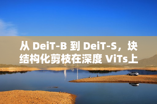 从 DeiT-B 到 DeiT-S，块结构化剪枝在深度 ViTs上 的应用 ！