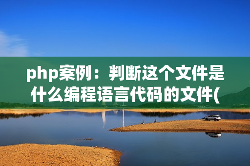 php案例：判断这个文件是什么编程语言代码的文件(判断java或者php)