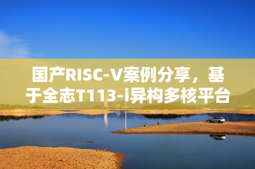 国产RISC-V案例分享，基于全志T113-i异构多核平台！