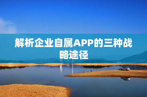 解析企业自属APP的三种战略途径