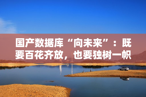 国产数据库“向未来”：既要百花齐放，也要独树一帜