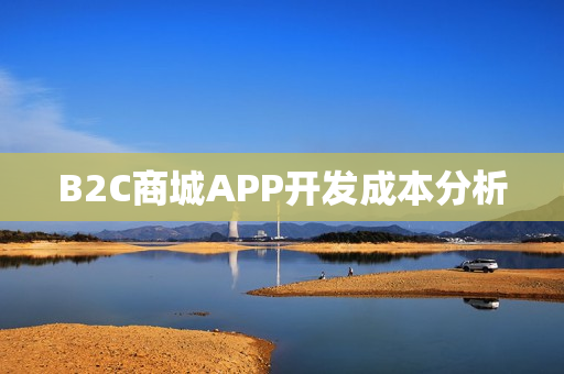 B2C商城APP开发成本分析