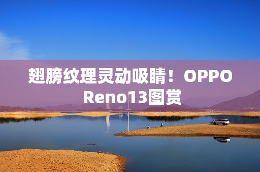 翅膀纹理灵动吸睛！OPPO Reno13图赏