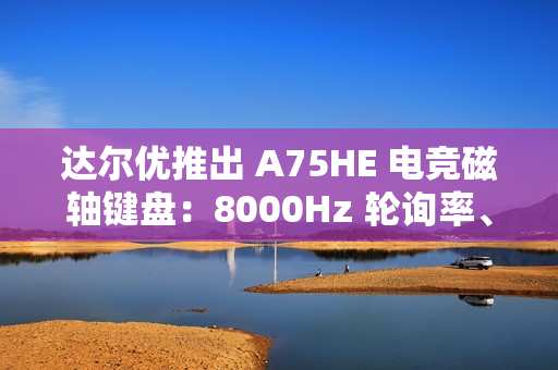 达尔优推出 A75HE 电竞磁轴键盘：8000Hz 轮询率、Gasket 结构，首发 599 元起