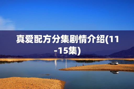 真爱配方分集剧情介绍(11-15集)