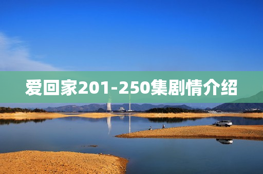 爱回家201-250集剧情介绍