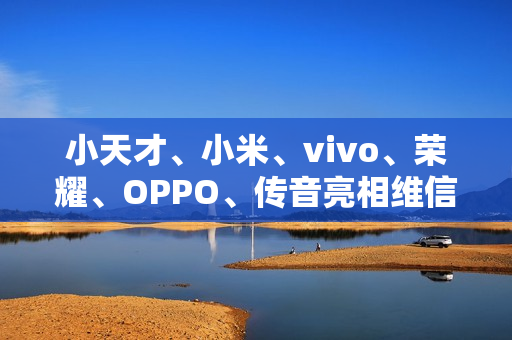 小天才、小米、vivo、荣耀、OPPO、传音亮相维信诺 F1 屏幕发光材料体系发布仪式