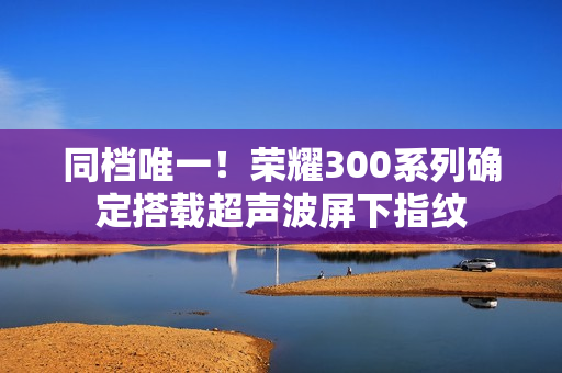 同档唯一！荣耀300系列确定搭载超声波屏下指纹