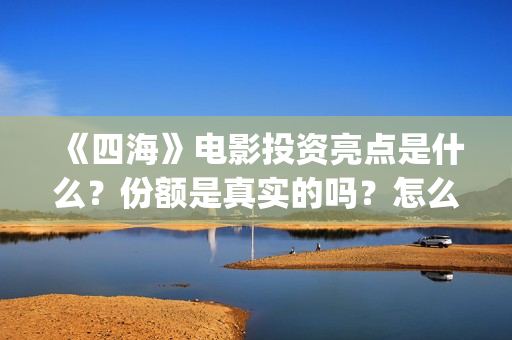 《四海》电影投资亮点是什么？份额是真实的吗？怎么投资有保障呢？(四海电影怎么样)