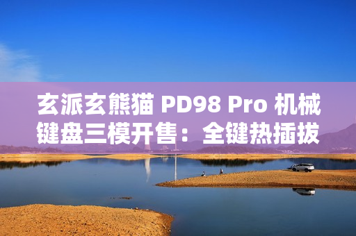 玄派玄熊猫 PD98 Pro 机械键盘三模开售：全键热插拔、Gasket 结构，299 元起