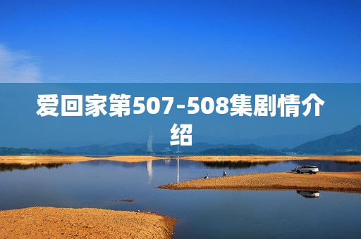 爱回家第507-508集剧情介绍