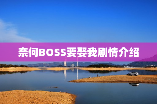 奈何BOSS要娶我剧情介绍